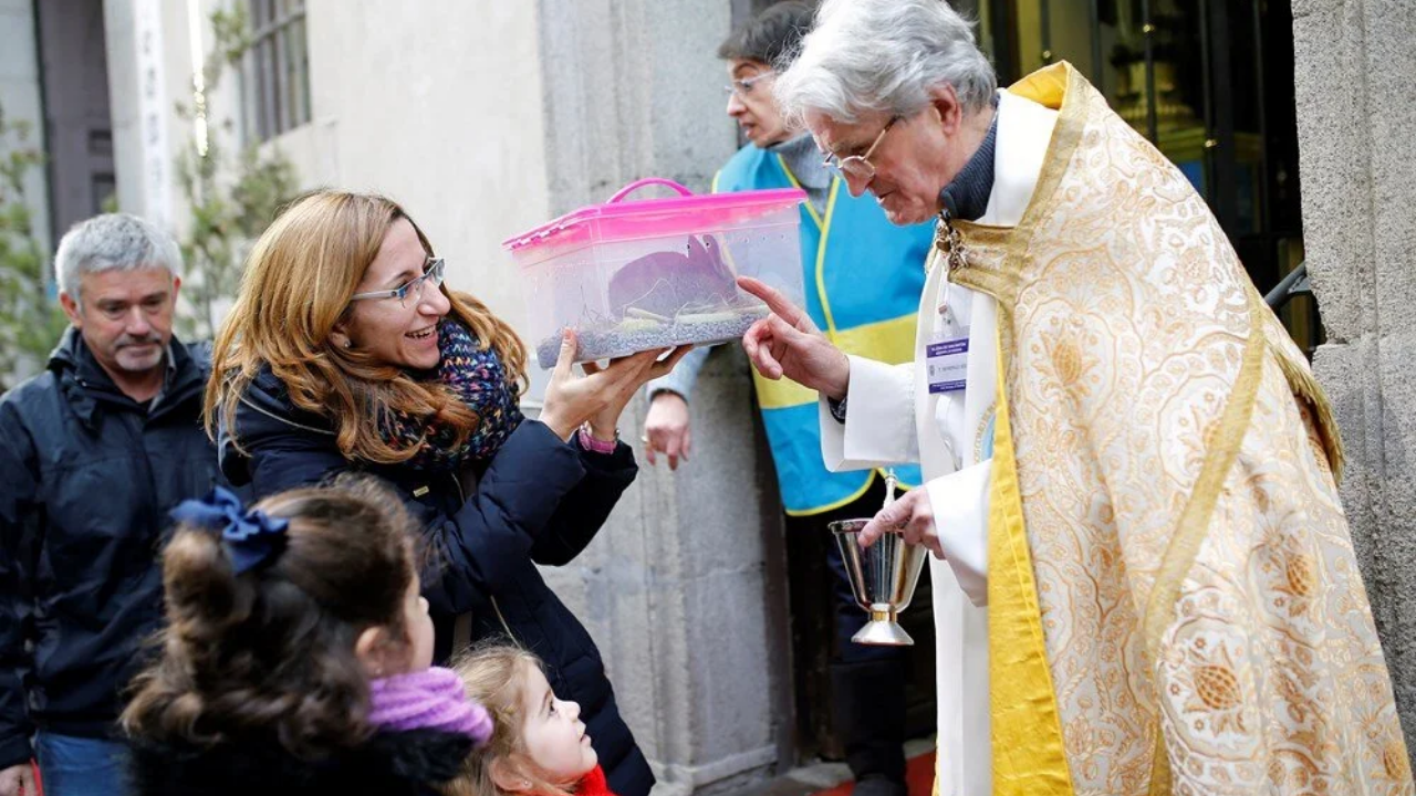 İspanya'da evcil hayvanlar kutsandı